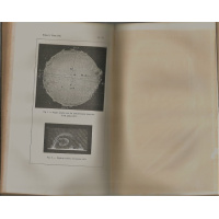 Livros/Acervo/S/SECCHI 3